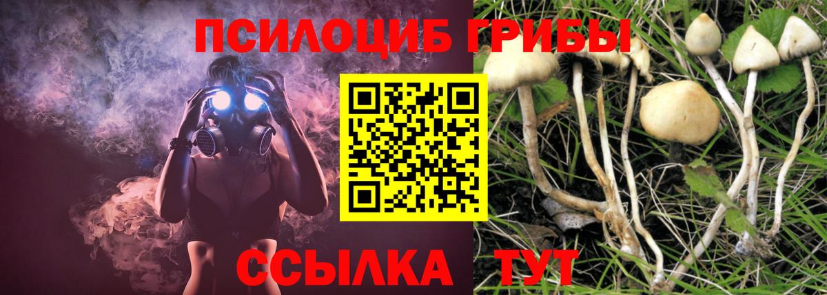 Джанкой  Псилоцибиновые грибы Cubensis  Вход с VPN 