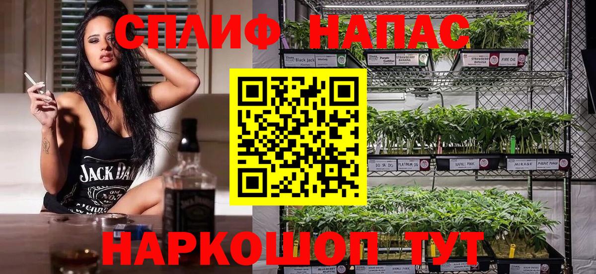 Канабис MAZAR  Вход с VPN  Конопля семена  Джанкой 